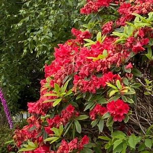 Meet your Posher, Mallorie